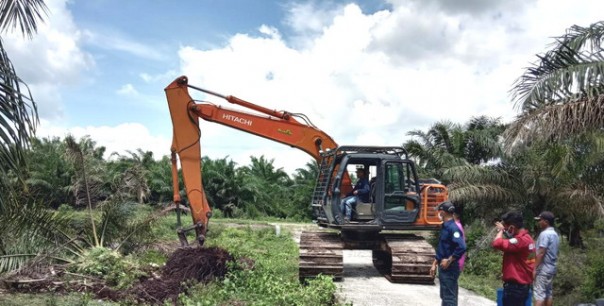 Program Replanting Kebun Sawit di Desa Muara Dua Mulai Dilaksanakan