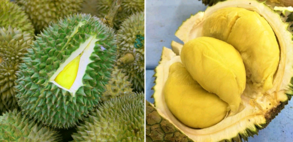 Bau Durian Membuat 6 Pekerja Asal Jerman Terpaksa Dilarikan Ke Rumah Sakit  