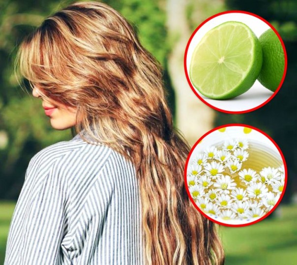 3 Tips Membuat Rambut Anda Jadi Lembut Dengan Cara Yang Mudah Alami Dan Murah Riau24 Com 3 Tips Membuat Rambut Anda Jadi Lembut Dengan Cara Yang Mudah Alami Dan Murah Riau24 Com