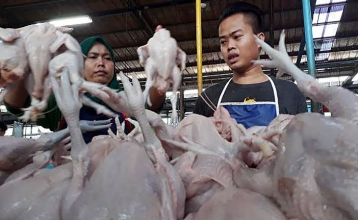 Ayam Masih Dijual Rp 25 Ribu Per Kg, Bawang Putih Alami Kenaikan Harga di Pekanbaru (foto/int)