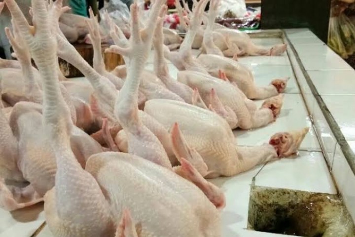 Belum Ada Lonjakan, Hari Ini Harga Ayam Rp 26 Ribu Per Kilogram di Pekanbaru (foto/int)