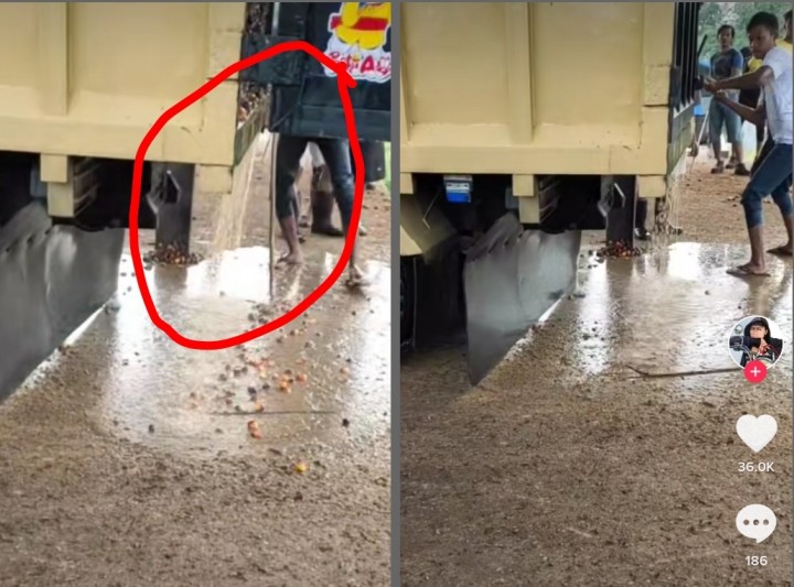 Viral Video Truk Sawit Banyak Berisi Air, Netizen: Pantas Susah Maju, Maunya Serakah Melulu (foto/int)