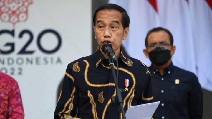 Potret Presiden Jokowi/cnn.indonesia.com