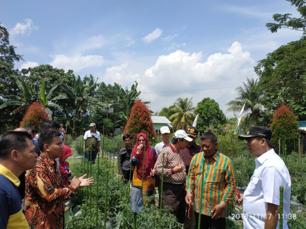 Ketua Tim Penguatan Pangan Pekanbaru, Ade Putra (batik coklat) bersama Walikota Pekanbaru, Dr Firdaus MT (kanan) meninjau kebun cabai merah di Agrowisata