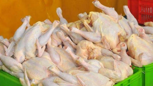 Harga daging ayam di Pekanbaru terpantau mahal