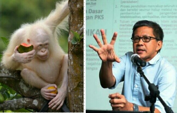 Rocky Gerung komentari pelepasan Alba di Hutan Kalimantan