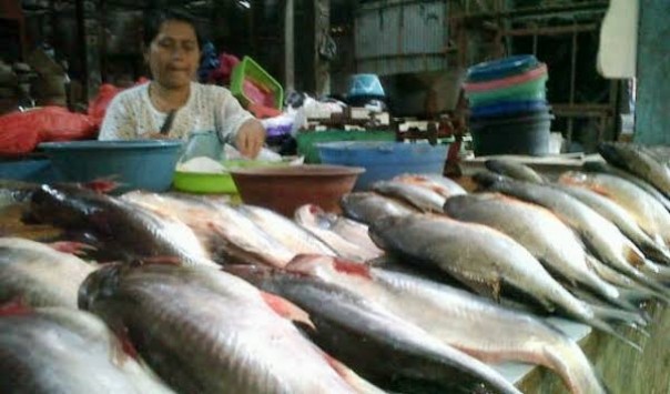 Harga ikan di Pekanbaru (foto/ilustrasi) 