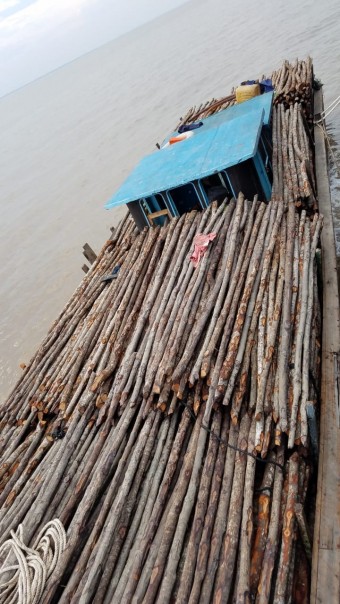 Pelimpahan 2.750 batang kayu bakau teki dari BKO Kapal Patroli 20004/hari