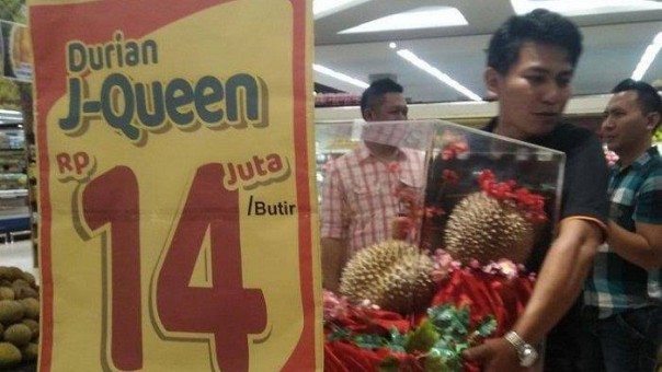 Durian J-Queen seharga Rp 14 juta