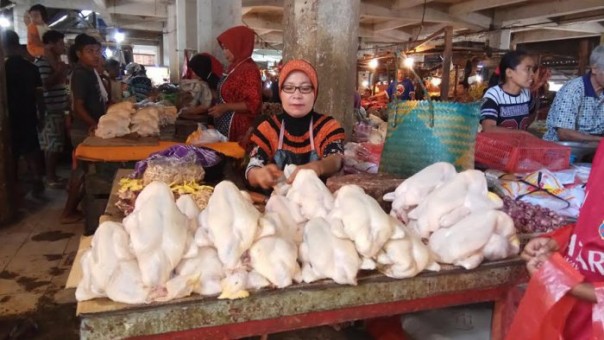 Daging ayam ras di Pekanbaru turun terus (foto/int) 