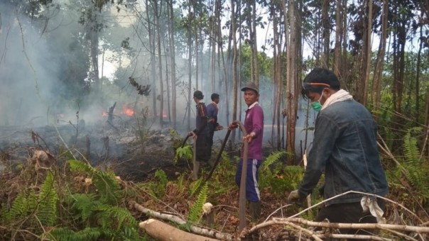 Tim Damkar Bengkalis berhasil memadam api di Bukitbatu Bengkalis/hari