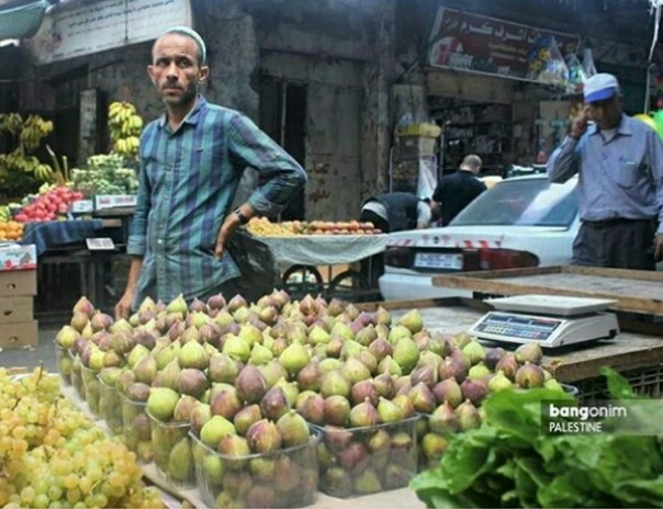 Buah Tin dijual murah di Palestina (foto/instagram) 