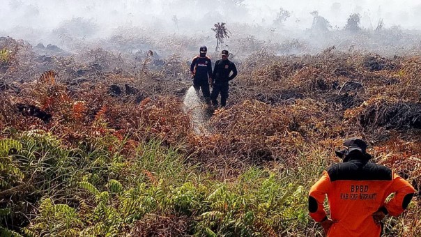 Anggota BPBD sedang memadamkan api di Desa Tenggayun Raya Kecamatan Rangsang/mad