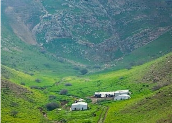 Wilayah Palestina ini hijau dan dipenuhi rerumputan (foto/instagram) 