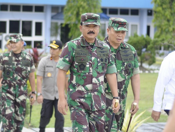 Panglima TNI Marsekal Hadi Tjahjanto saat meninjau lokasi karhutla di Riau