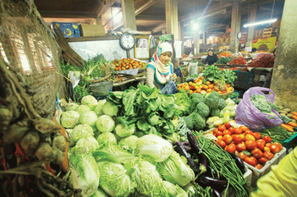 Harga sayur mayur di Pekanbaru (foto/int) 