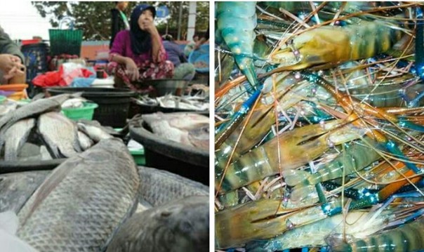 Harga ikan dan udang galah di Pekanbaru (foto/int) 