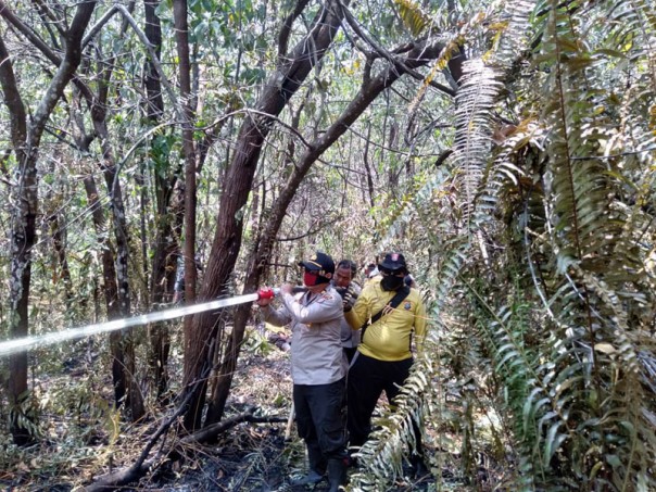 24 hektare lahan gambut terbakar tepatnya di Jalan Akit Jaya dan Dusun Limau Desa Kembung Baru/hari