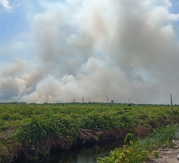Kabut asap yang menyelimuti Pulau Rupat mulai menipis/hari