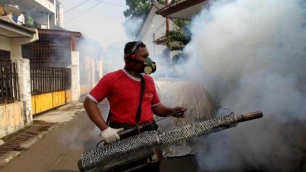 Kasus demam berdarah dengue di Pekanbaru (foto/int)  