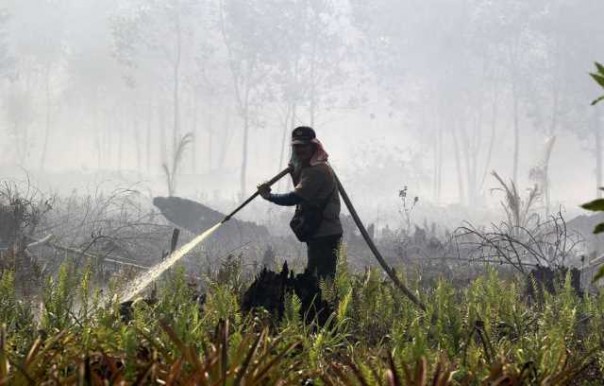 Musim kemarau di Riau sering diwarnai dengan ancaman terjadinya kebakaran hutan dan lahan. Foto: int/ilustrasi