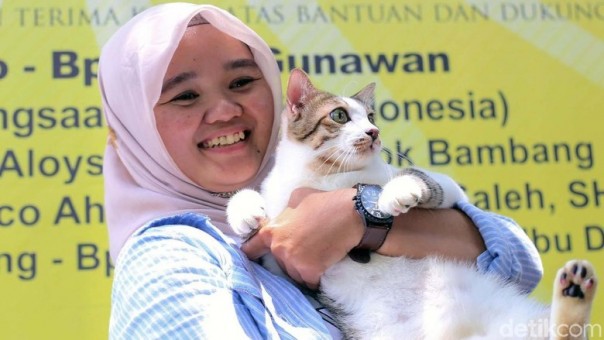 Sisihkan Puluhan Pesaing, Kucing Kampung Ini Juara Lomba ...