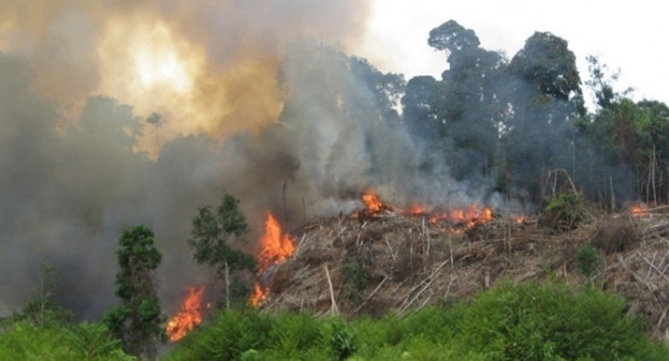 Hotspot Riau kembali 'menggila' (foto/ilustrasi) 