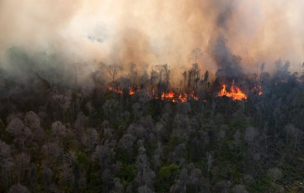 Kebakaran hutan merajalela (foto/ilustrasi) 