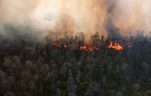 Walau diguyur hujan hotspot Riau masih membara (foto/int) 