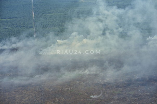 Karhutla di beberapa daerah di Riau