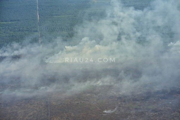 Kondisi Karhutla yang terbakar dilihat dari udara. (Foto.Dok/Riau24)