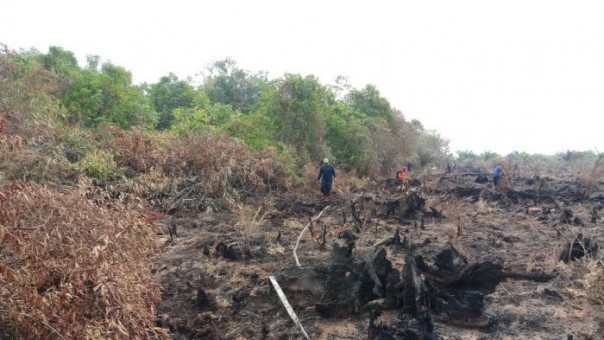 Hotspot di Riau (foto ilustrasi) 