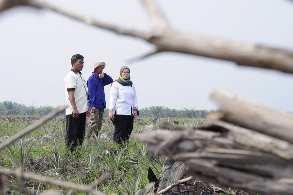 Pihak BRG bersama Pokma Desa Mundam saat melihat kondisi terkini lokasi lahan yang terbakar beberapa waktu lalu.