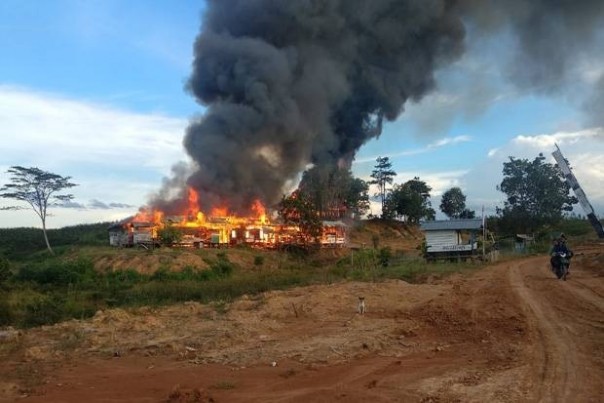 Api membumbung tinggi dari bangunan beskem milik PT Samhutani yang dibakar warga di Jambi. Foto: int 