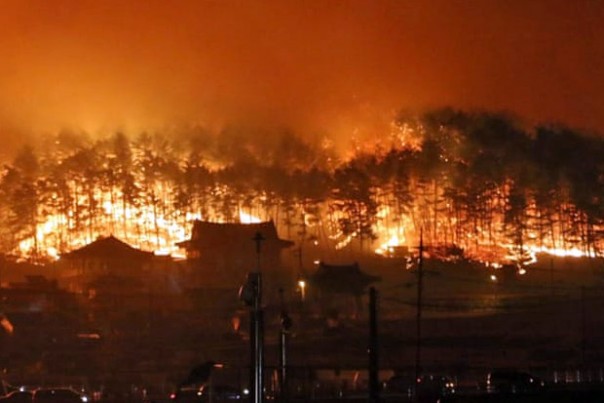 Korsel mengumumkan keadaan darurat nasional setelah kebakaran hutan hebat melanda negara itu. Foto/Istimewa