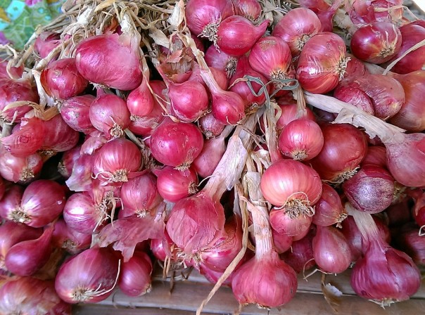 Harga bawang merah dan putih di Pekanbaru mahal (foto/int)