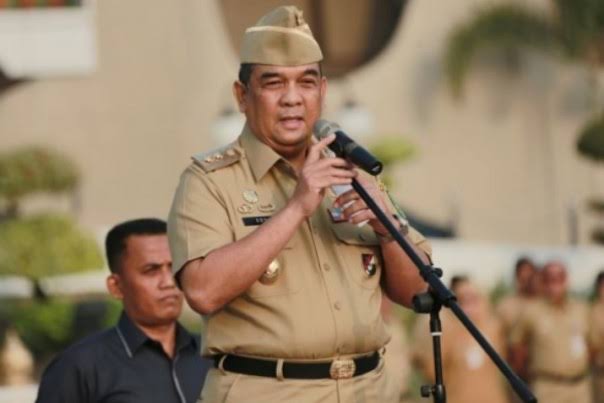 Wakil Gubernur Riau, Edy Natar Nasution