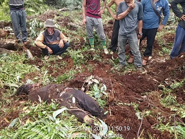 M Amri (32) karyawan PT RIA, Desa Tanjung Simpang Kecamatan Pelangiran ditemukan tidak bernyawa/rg