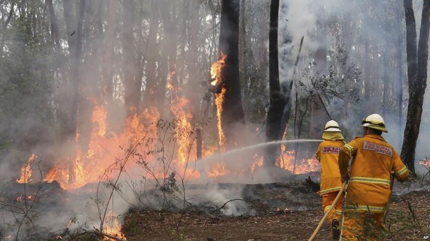 Riau masih rawan kebakaran hutan dan lahan (foto/ilustrasi)