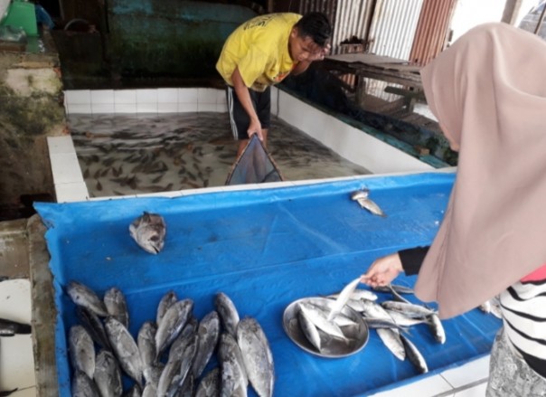 Seorang ibu rumah tangga membeli ikan laut meski harga naik di kedai ikan Jalan Suka Karya Panam (foto/riki)
