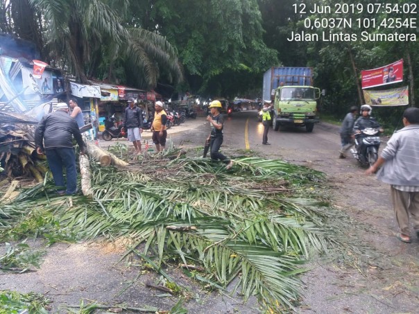 Terlihat petugas tengah melakukan pemotongan pohon yang tumbang ke ruas jalan.