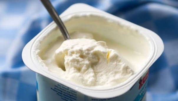 Ilustrasi yoghurt