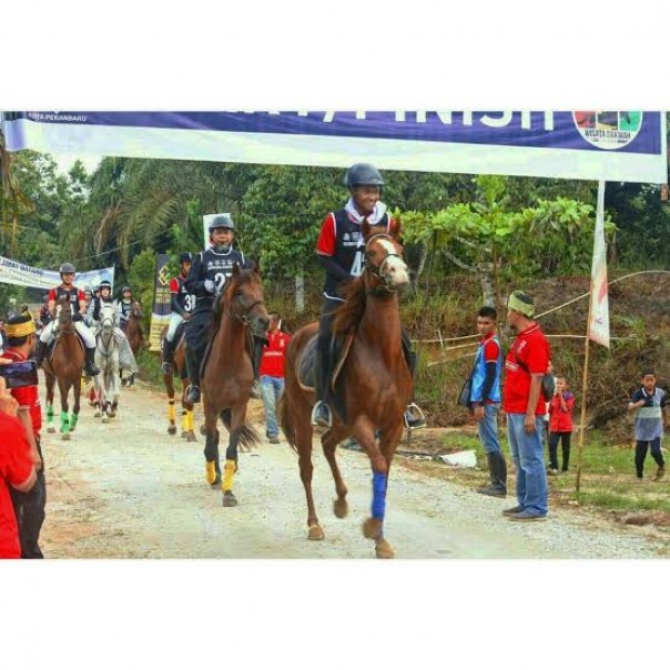 WDO Pekanbaru Endurance 2019 kembali digelar (foto/ilustrasi)