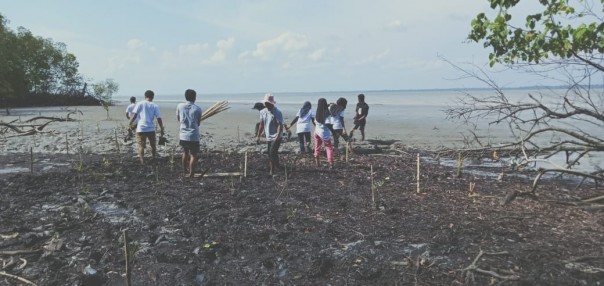 Kelompok Konservasi Laskar Mandiri bersama mahasiswa KKN Unri menanam bibit pohon api api/lin