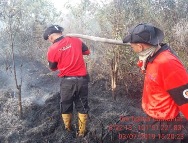 Tim Reaksi Cepat (TRC) Badan Penanggulangan Bencana Daerah (BPBD) Kabupaten Pelalawan berjibaku memadamkan kebakaran lahan/ardi