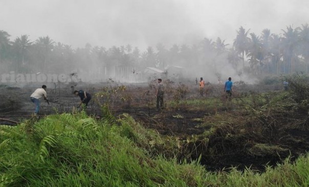 Hotspot Riau masih terdeteksi di Rokan Hilir (foto/int)