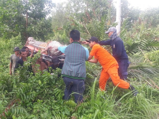 Petugas Basarnas Pekanbaru bersama instansi terkait berhasil menemukan jasad Jumi sekitar satu kilometer dari lokasi.