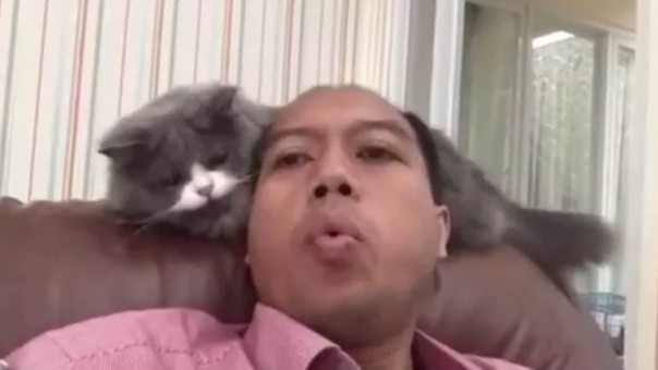 Almarhum Sutopo dan kucing kesayangannya