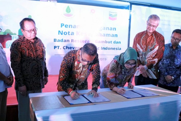 PT Chevron Pacific Indonesia (CPI) dan Badan Restorasi Gambut (BRG) melakukan penandatanganan Nota Kesepahaman terkait dengan kerjasama edukasi restorasi gambut