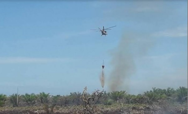 Hotspot Riau terbanyak muncul di Pelalawan (foto/int)